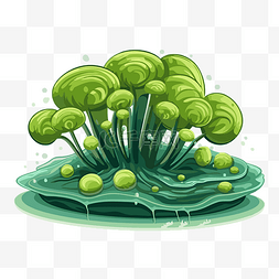 生长草图片_绿岛上生长的真菌的叶绿体剪贴画