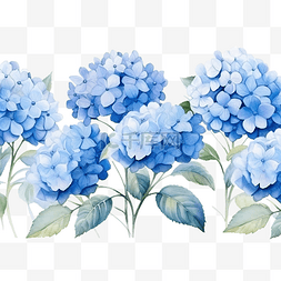 水彩水平无缝背景与蓝色绣球花