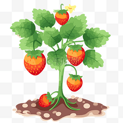 草莓植物剪贴画可爱草莓植物png卡