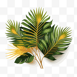棕櫚樹枝 向量