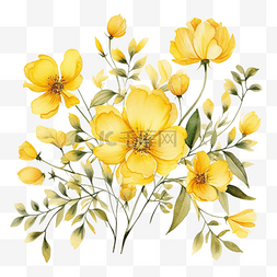 沉香树树叶图片_水彩黄色花卉植物