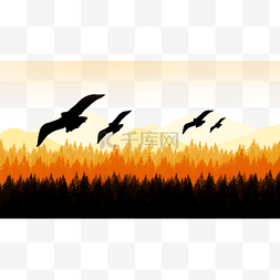 秋天森林风景图图片_森林景观横图黑色飞鸟