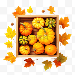 秋平铺着成熟的南瓜和黄叶在木箱