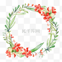 蘭图片_金色圆框水彩花卉插图中绿叶和红