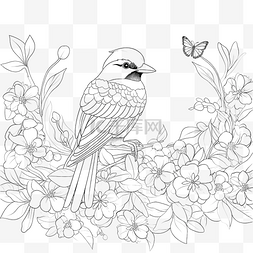 黑白表格表格图片_花园花中的鸟黑白着色书轮廓矢量