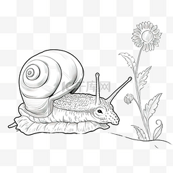 蜗牛卡通铅笔画风格花园里的动植
