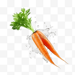 胡萝卜上的水喷雾 3d 图