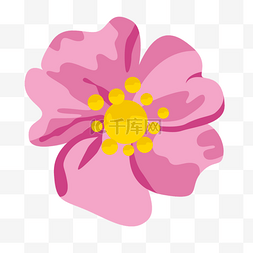 一枝花束图片_桃花花朵粉色的