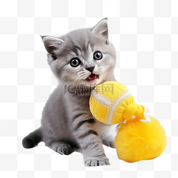 猫玩的玩具图片_可爱的灰色小猫在黄色的圣诞玩具