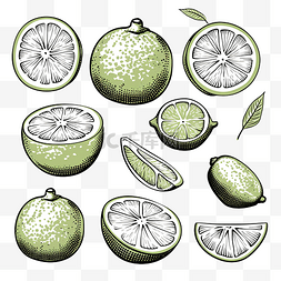 fruits图片_Lime Fruits 插图
