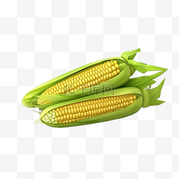植物图表图片_3D 插图蔬菜玉米用于打印网络应用
