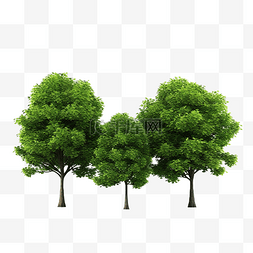 背景绿树图片_绿树隔离 3D 渲染插图