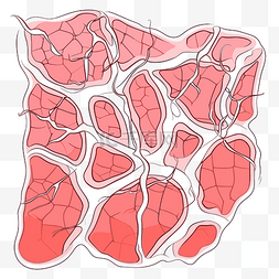 静脉剪贴画粉红色卡通皮肤结构的