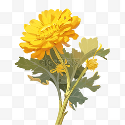 元素黄色花
