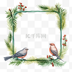 手绘松果PNG图片_框架与冷杉树枝植物和鸟类圣诞装