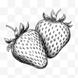 草莓半片隔离水果线艺术隔离