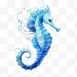 海马蓝色png插图海洋动物