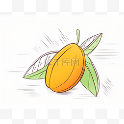 带叶子的橙色水果和可可插图
