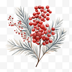 古埃及拉神图片_手绘红色浆果和冷杉树枝