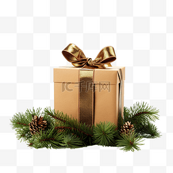 礼品盒和圣诞树枝隔离在白色