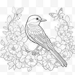 黑白表格表格图片_花园花中的鸟黑白着色书轮廓矢量