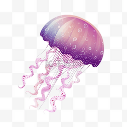 暴雨天潜水图片_带点的紫色水母