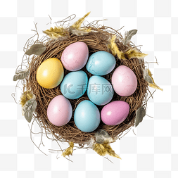 巢顶视图中的复活节快乐蛋