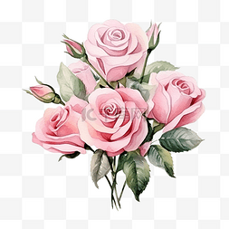 粉红浪漫背景图片_水彩粉红玫瑰花束