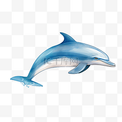 蓝色海豚海洋动物插画