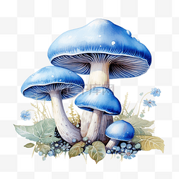 叶子蘑菇图片_蓝色三重蘑菇插画