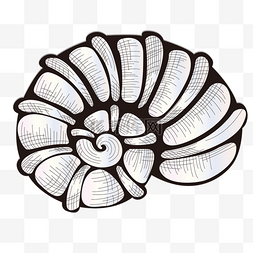 贝壳海螺扇贝海洋卡通线条