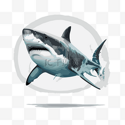 大白鲨 向量