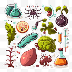 生物标本图片_生物科学 向量