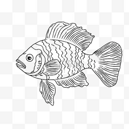 海洋卡通图片_鱼海洋动物与鳍涂鸦线性卡通着色
