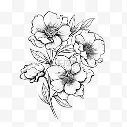白色花卉插画图片_花卉元素线条艺术插画