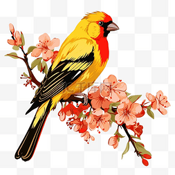 可爱的春天鸟背景图片_黄色的鸟坐在开着红色花朵的树枝