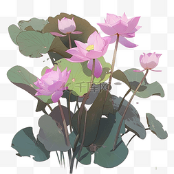 紫色荷花背景图片_紫色粉色莲花隔离PNG文件