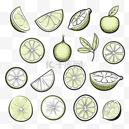 fruits图片_Lime Fruits 插图