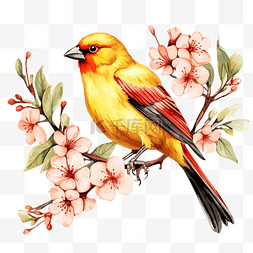 花开富图片_黄色的鸟坐在开着红色花朵的树枝