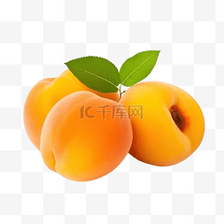 甜多汁美味天然生态产品杏