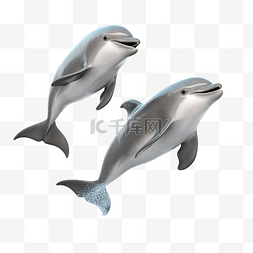 3d可爱海豚图片_灰色海豚跳跃孤立概念 3d 插图 3d 