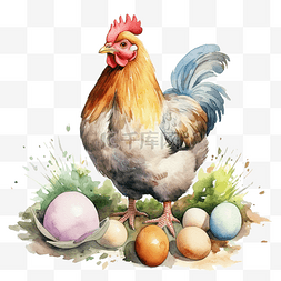 水彩母鸡与鸡蛋