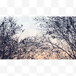 树叶倒影素材图片_秋季树枝剪影横图落叶飘落