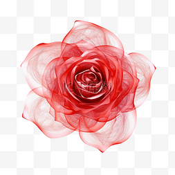 玫瑰花蕾图片_天然红玫瑰花生成ai