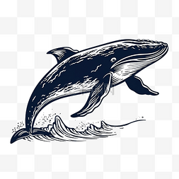 鲸鱼复古木刻