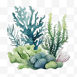 海藻水下海洋植物海珊瑚元素水彩