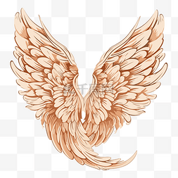 天使之翼 向量