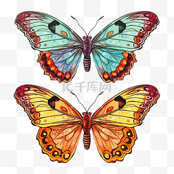 画两只蝴蝶昆虫集合