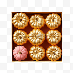 感恩节图片_美丽的金色南瓜在柔和的粉红色平