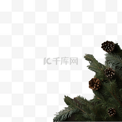 松针叶图片_木板上的针叶树枝圣诞装饰